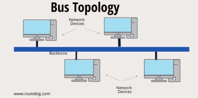 ss_1761-topologi Bus